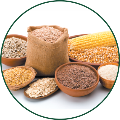 Grains