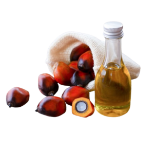 Palm Oil